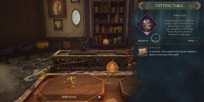 hogwarts legacy shrivelfig