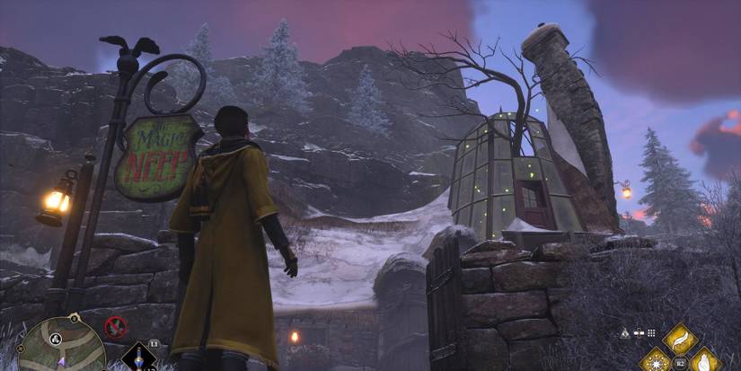 hogwarts legacy the magic neep