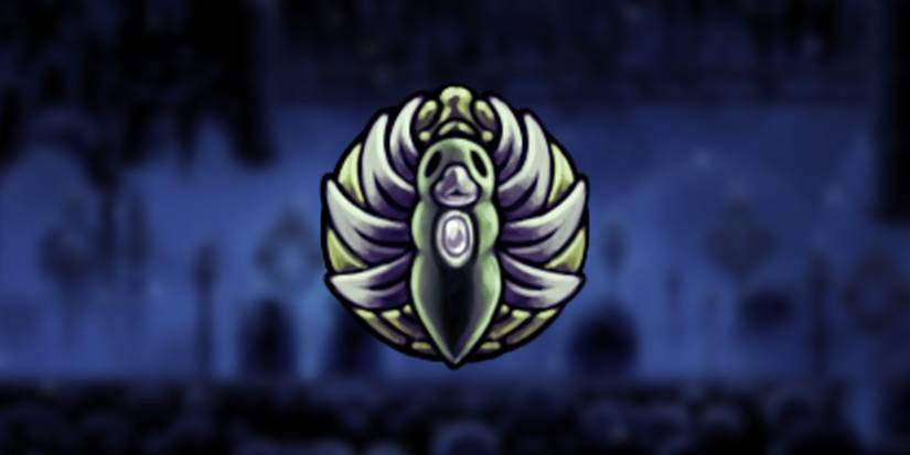 Hollow Knight All Charms Locations Grubberflys Elegy