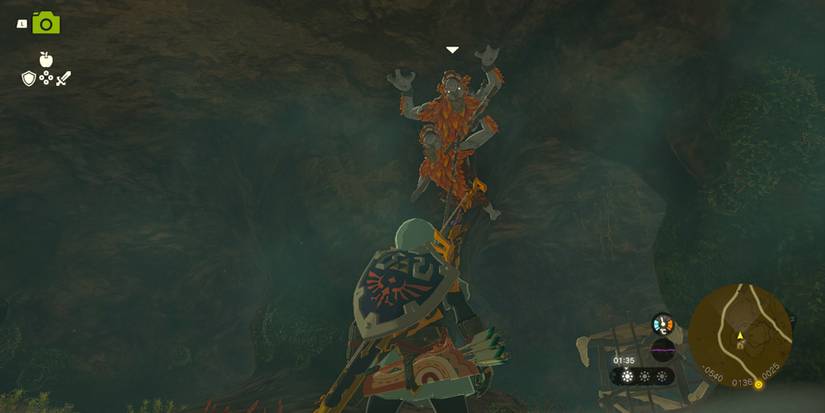 Link looking up at Horriblin