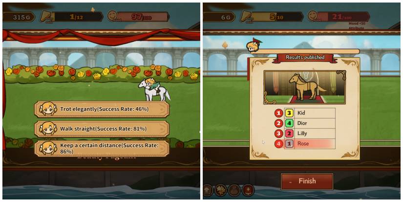 Horse Beauty Pageants in Volcano Princess