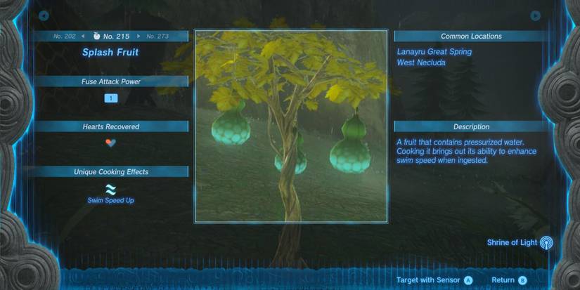Splash Fruit Hyrule Compendium
