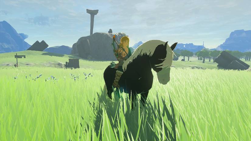zelda tears of the kingdom tamed tame horse