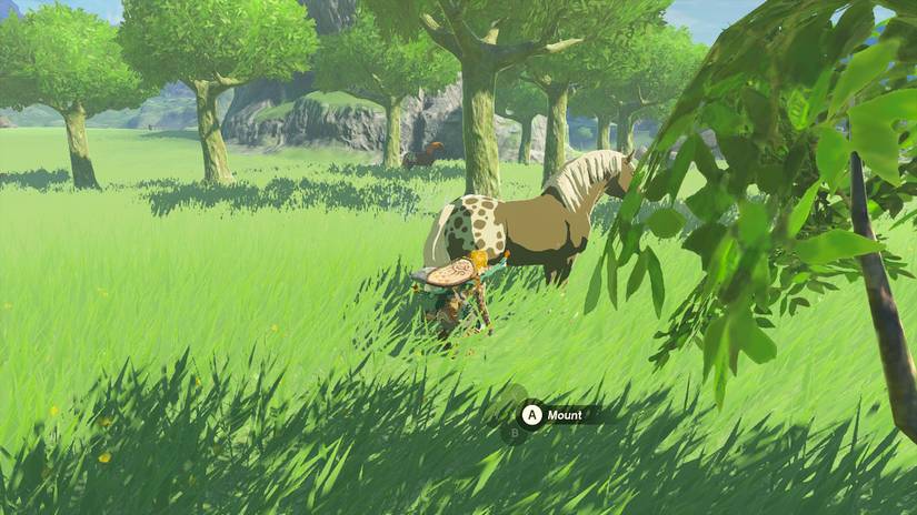 zelda tears of the kingdom horse close sneaking sneak