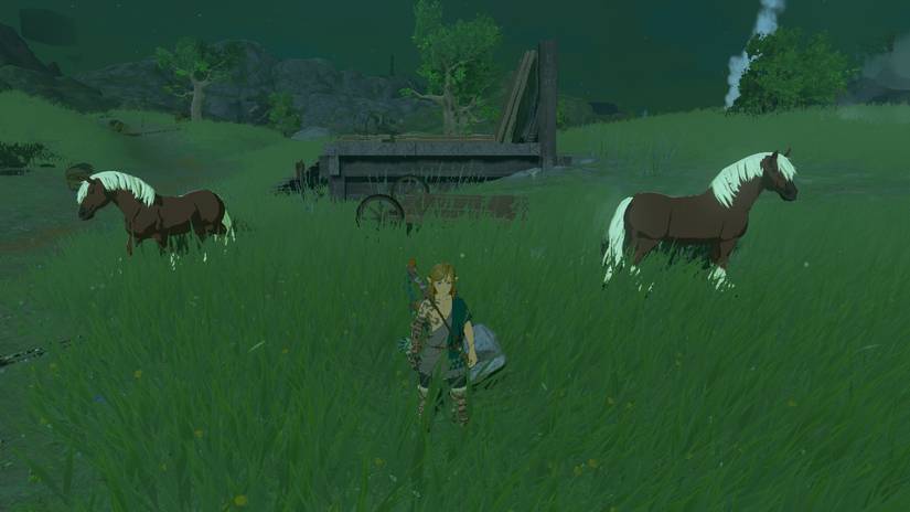 zelda tears of the kingdom two epona
