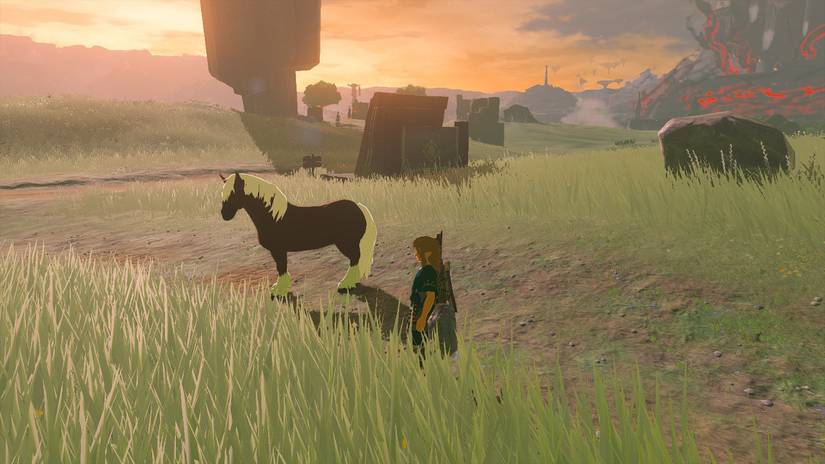 zelda tears of the kingdom summon epona