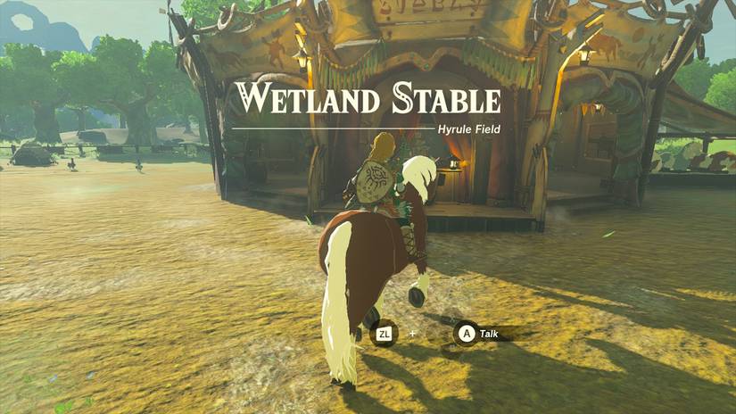 zelda tears of the kingdom wetland stable