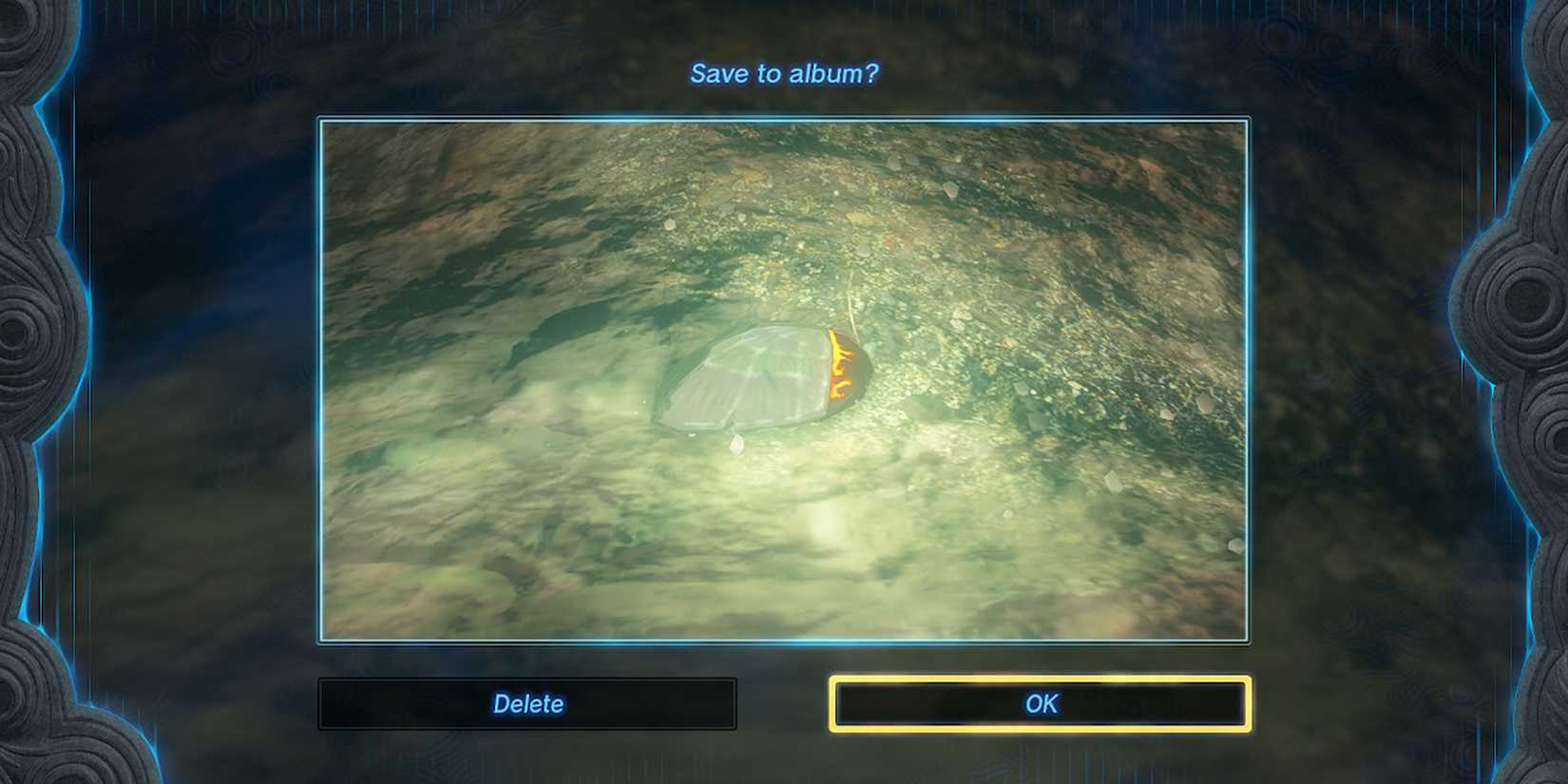 Legend of Zelda Tears of the Kindom - Photographing A Scale That Fell To The Ground