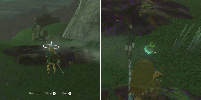 legend-of-zelda-tears-of-the-kingdom-how-to-clean-brown-and-purple-goo-splash-fruit-drop