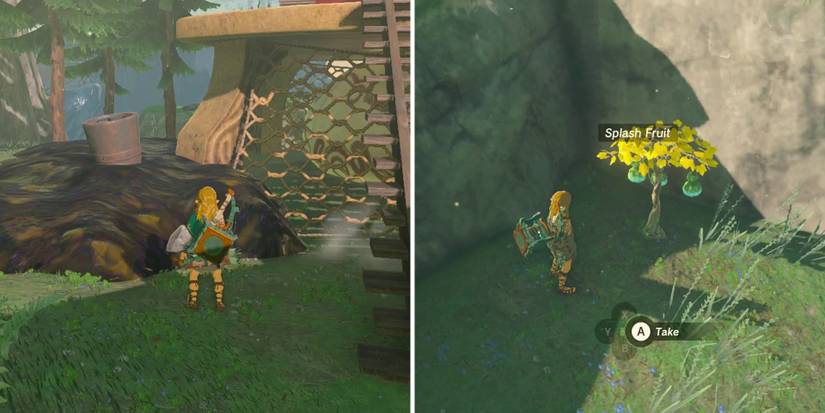 legend-of-zelda-tears-of-the-kingdom-how-to-clean-brown-and-purple-goo-splash-fruit