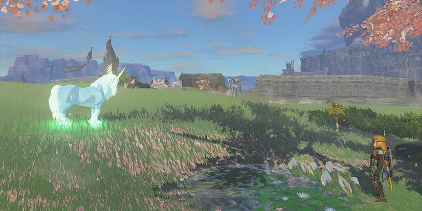 Legend of Zelda Tears of the Kingdom - Link Staring Down Satori