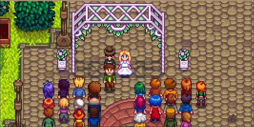 Stardew Valley Wedding