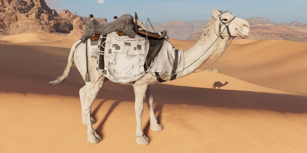 the meri heka camel from assassin's creed origins