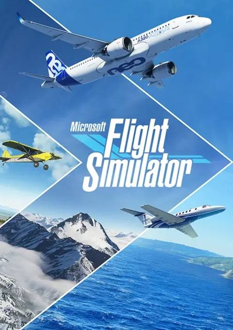 Microsoft Flight Simulator