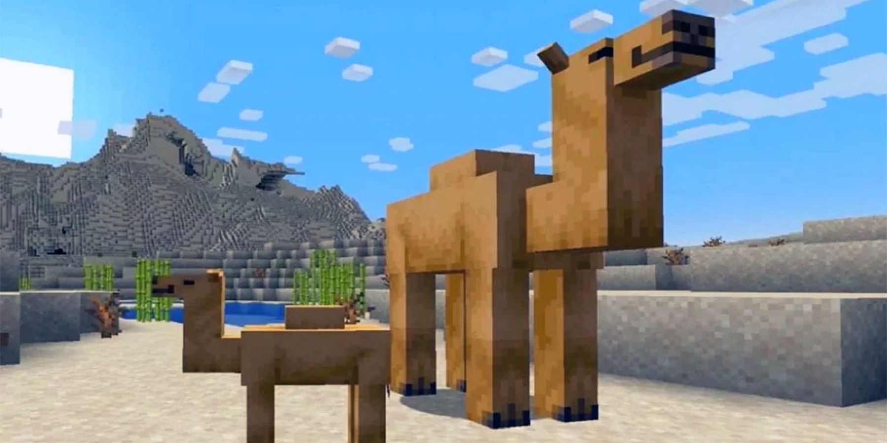 Minecraft Desert Temple Generates in a Strange Location - TrendRadars