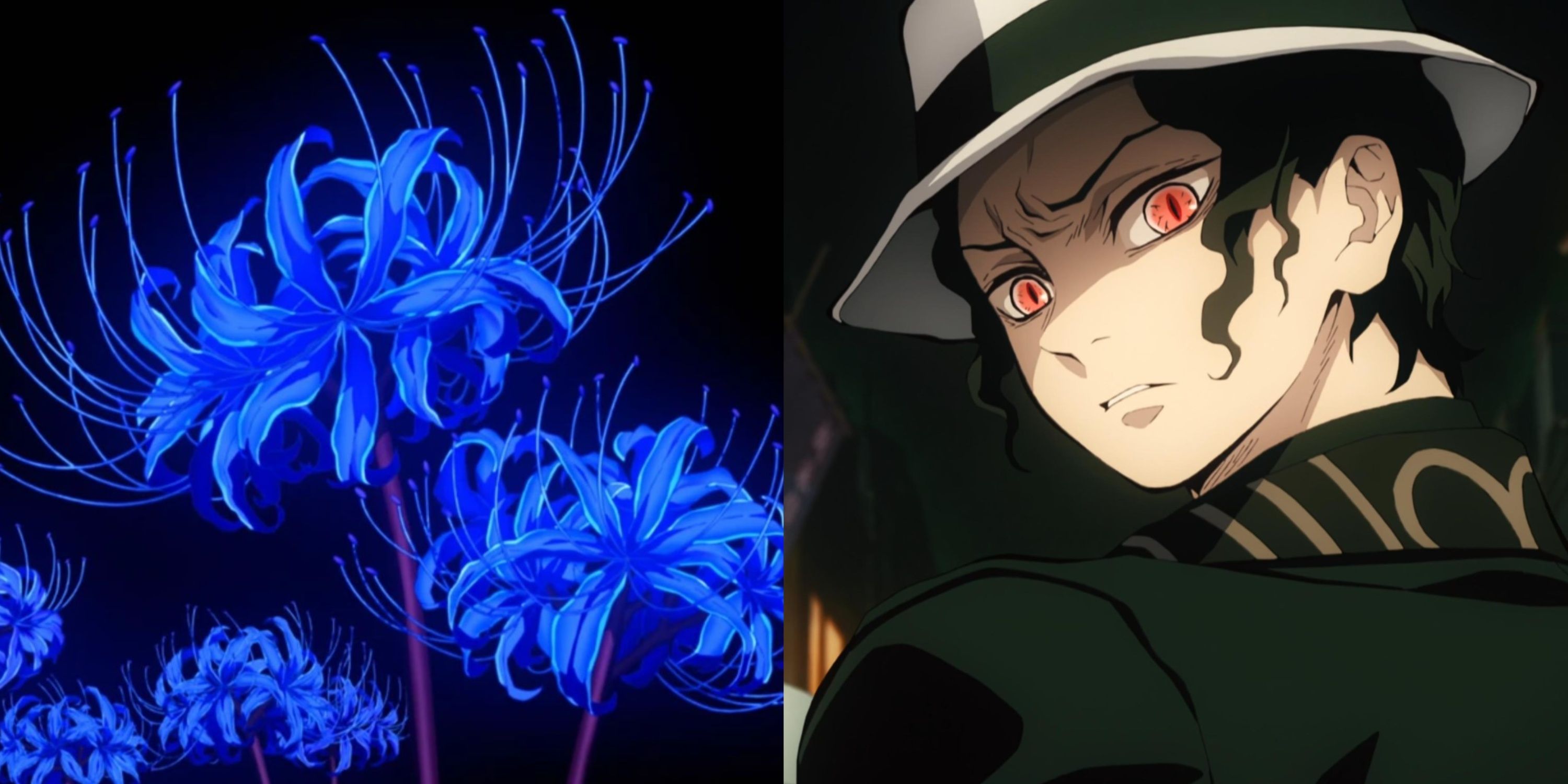 Demon Slayer: Why Muzan Wants The Blue Spider Lily