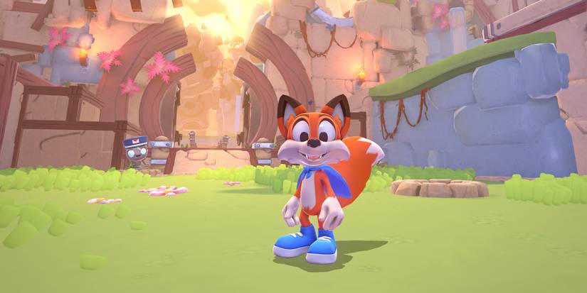 Lucky Swiftail staring at the camera in New Super Lucky's Tail