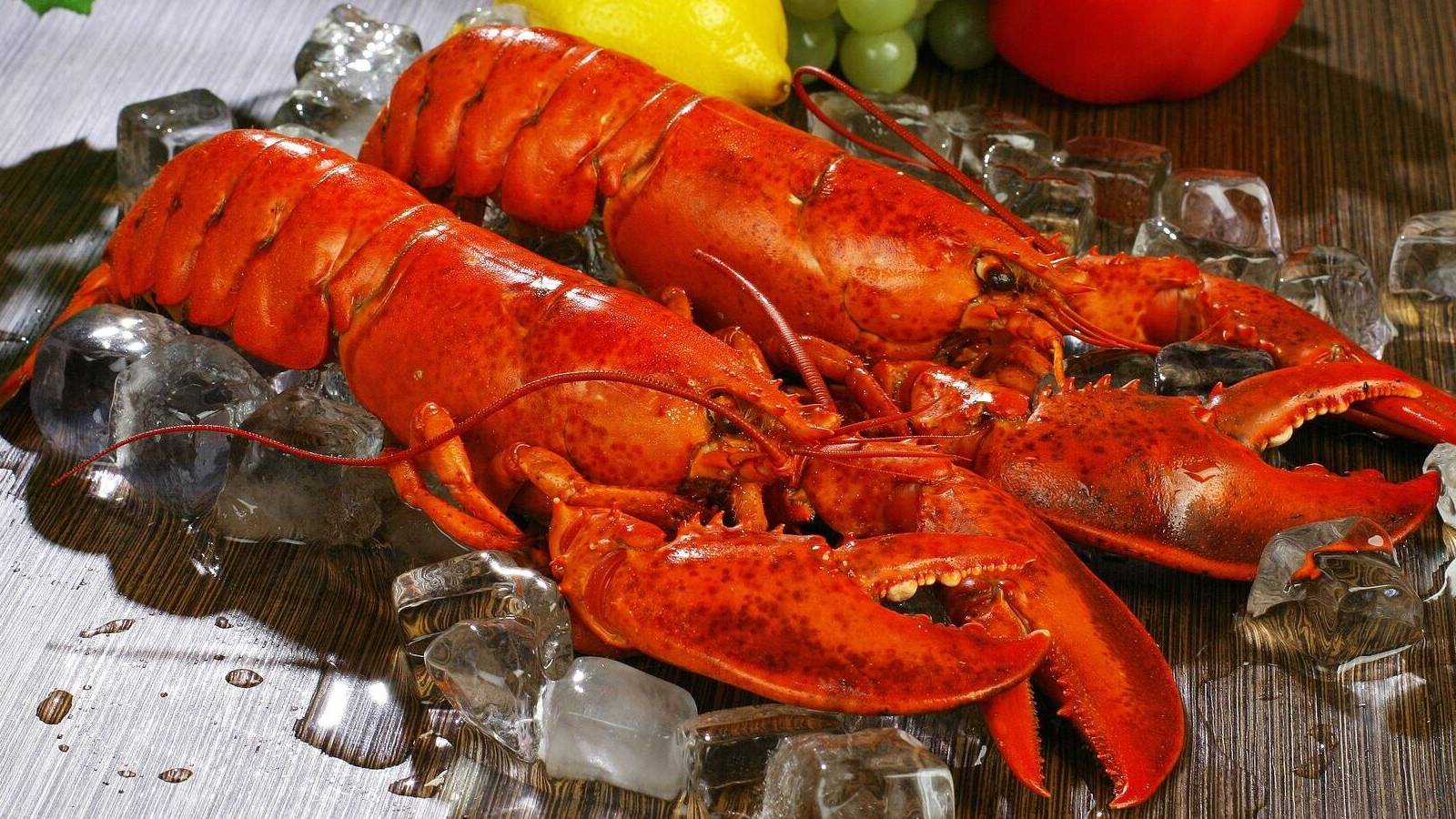 nvidia graphic cards smuggler live lobsters