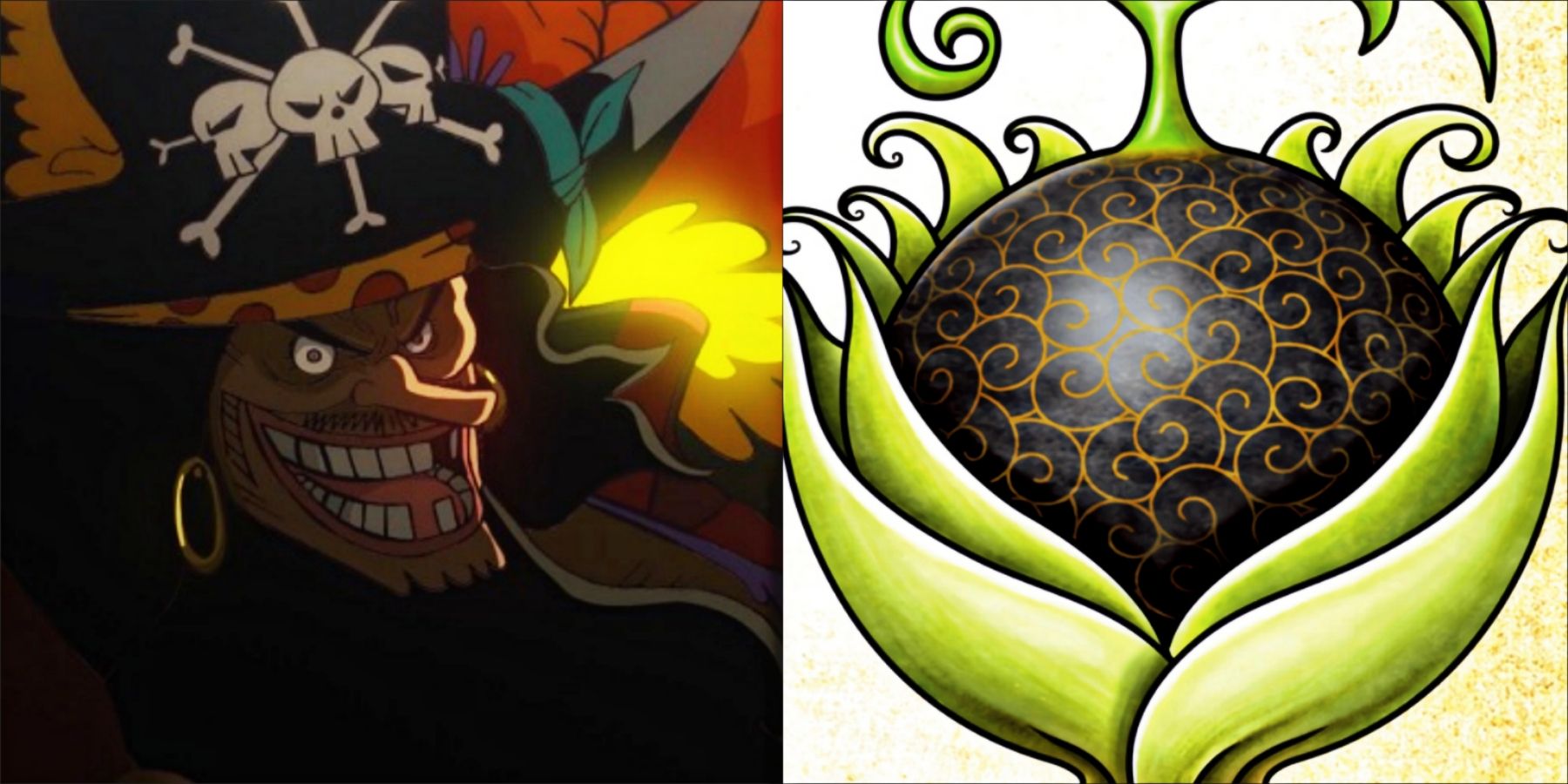 How did Blackbeard get his second Devil Fruit power? Why didn't he