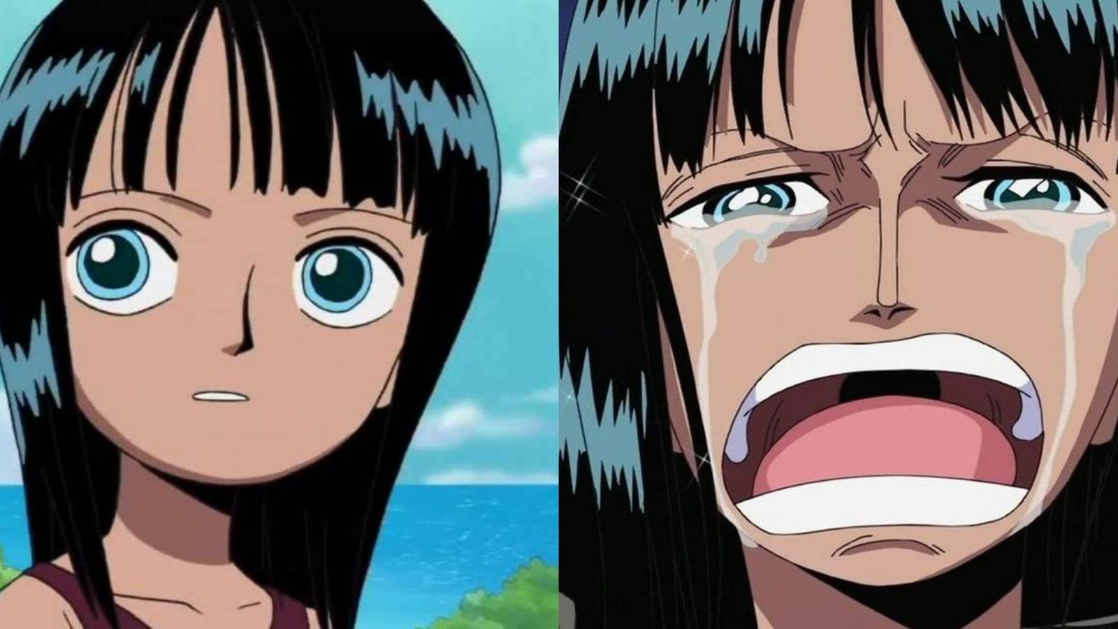 One Piece Robin's Past