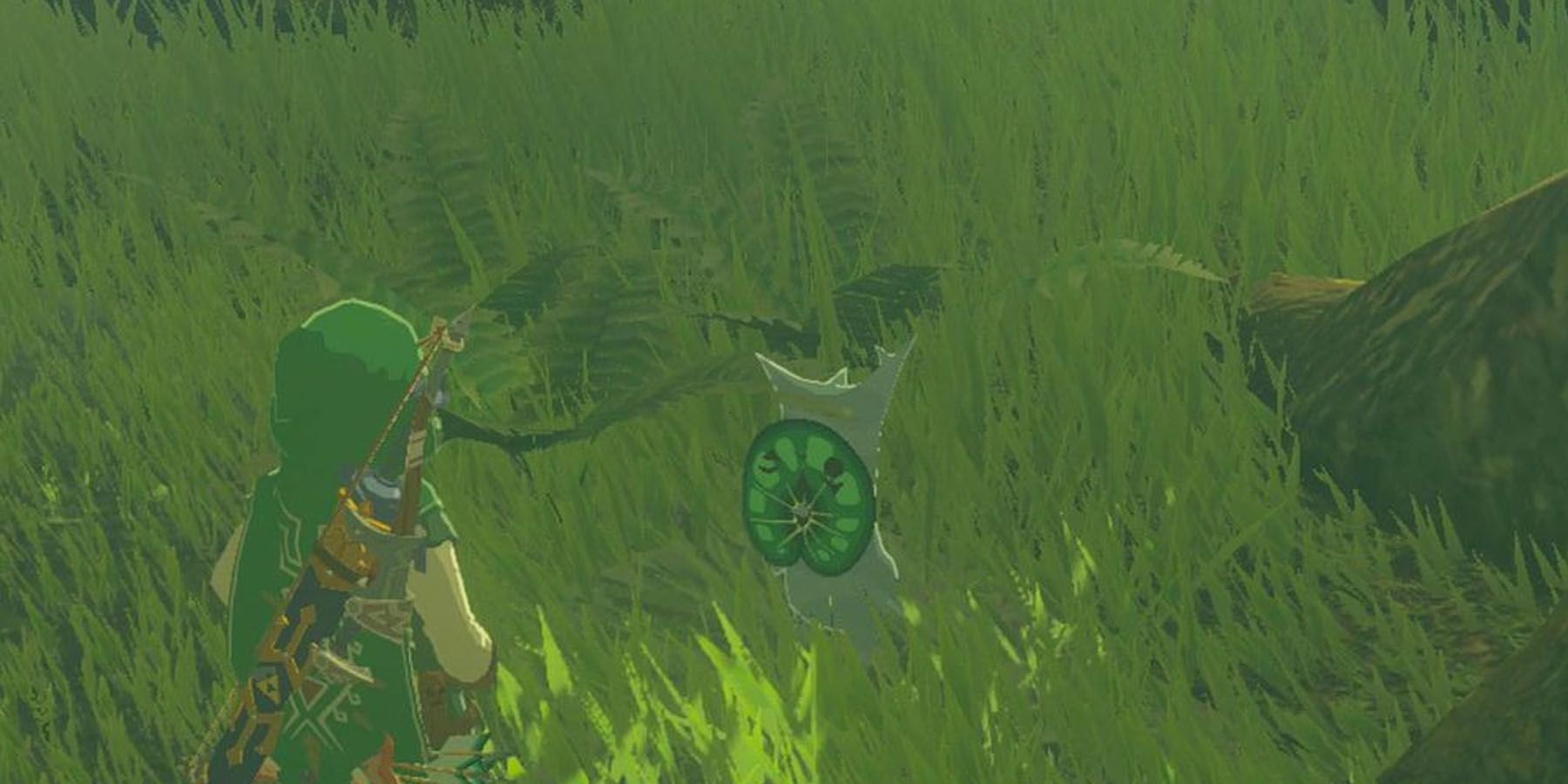 Zelda: Breath of the Wild - Blupee Guide