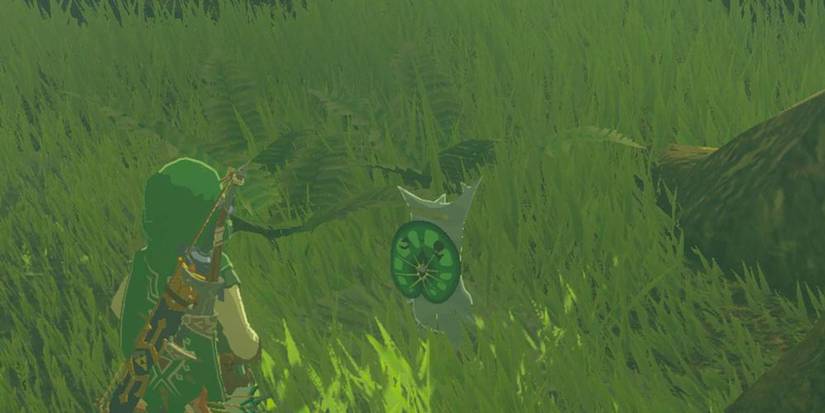 Peeks in Breath of the Wild