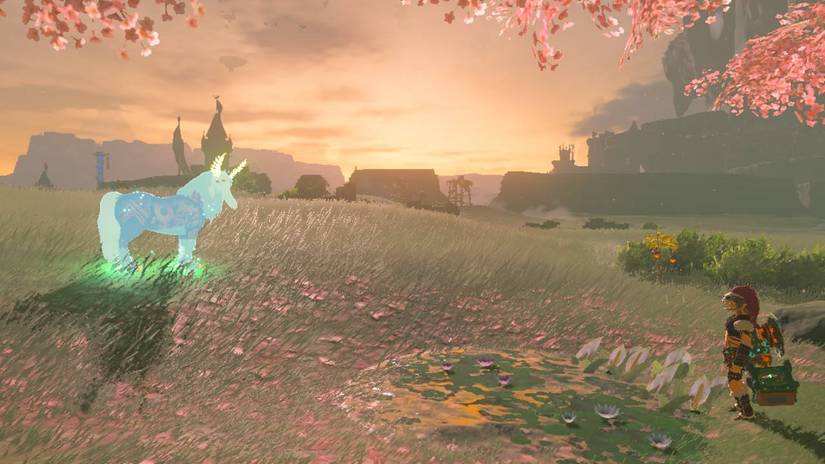 photo_2023-05-17_18-24-14