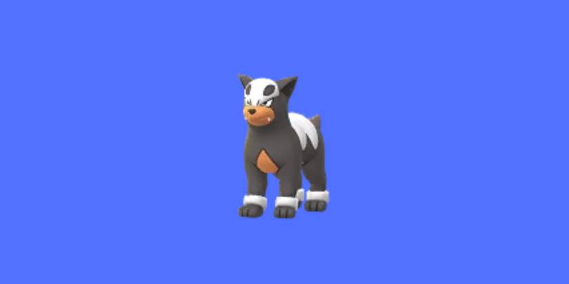 pokemon-go-Houndour