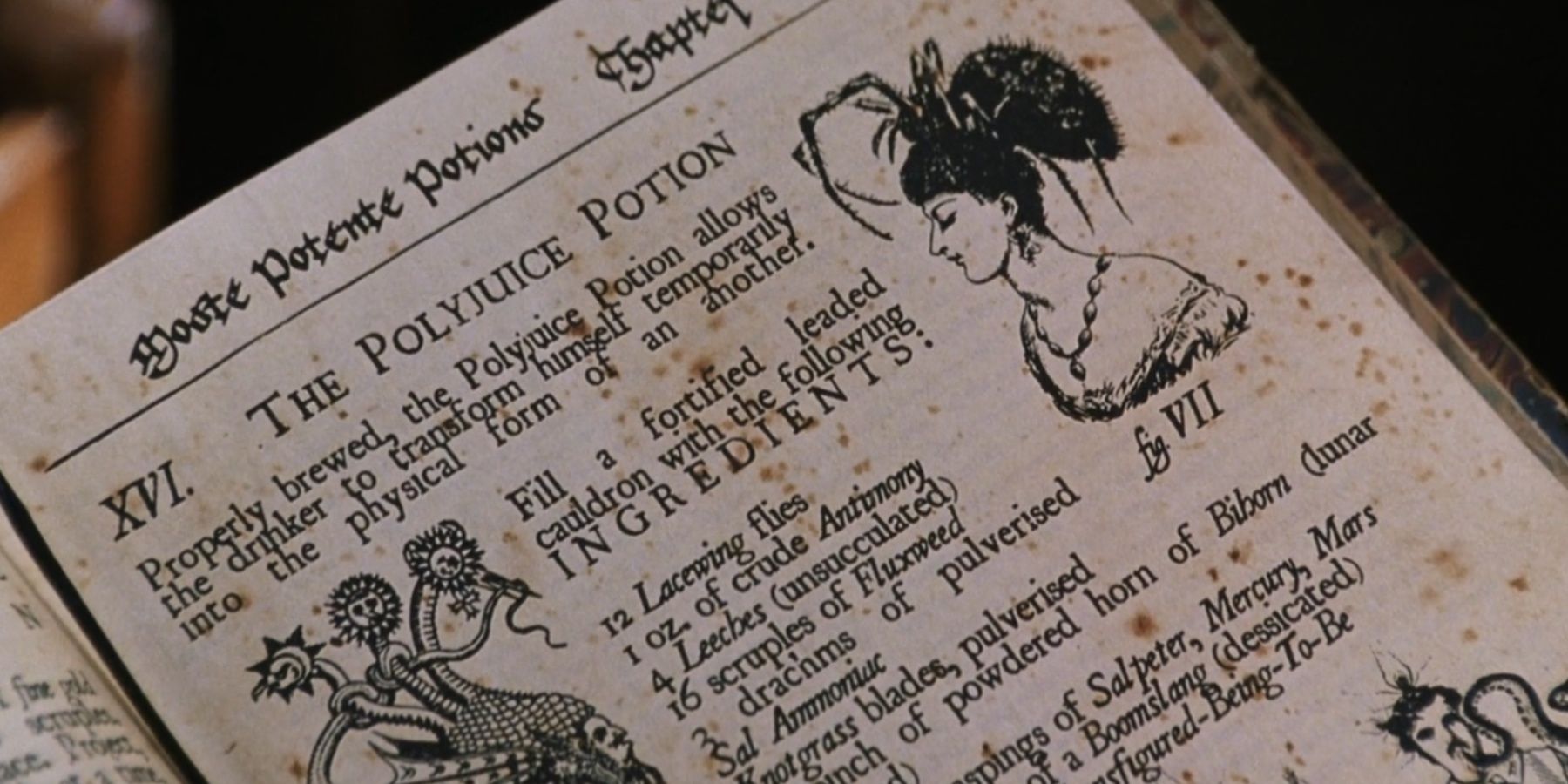 The Polyjuice Potion recipe in Moste Potente Potions in Harry Potter and the Chamber of Secrets.