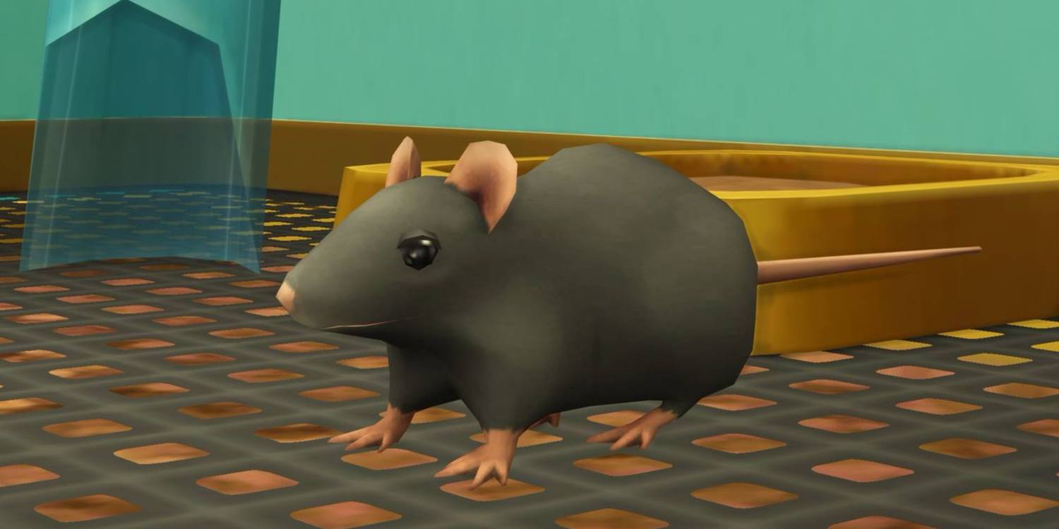 Rat - My First Pet Stuff