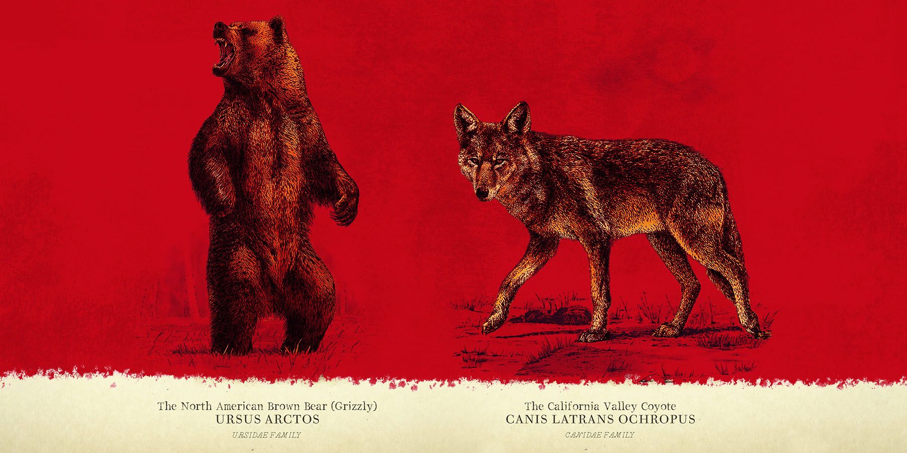 red-dead-redemption-2-wolf-vs-grizzly-bear-gamerant