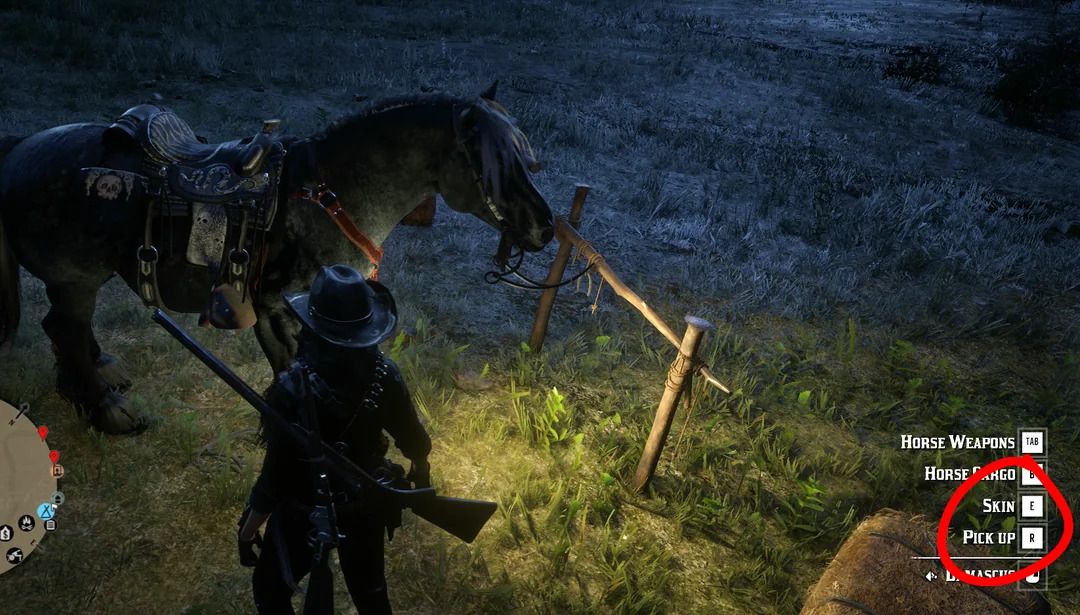 red dead online interaction to skin horse