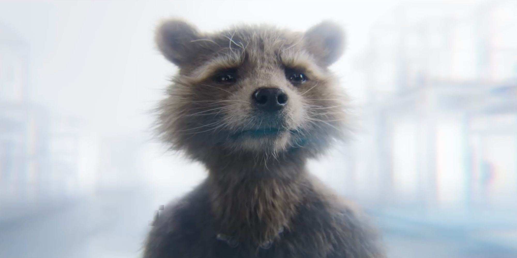 Rocket in Guardians of the Galaxy Vol. 3-2