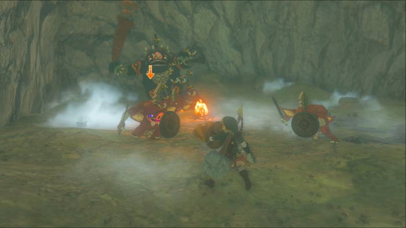 zelda tears of the kingdom honeycomb shield