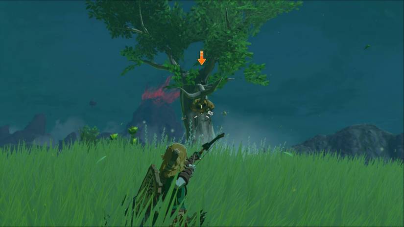 zelda tears of the kingdom courser bee hive