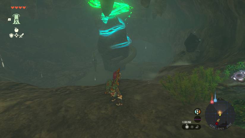 totk-anedamimik-uncovered