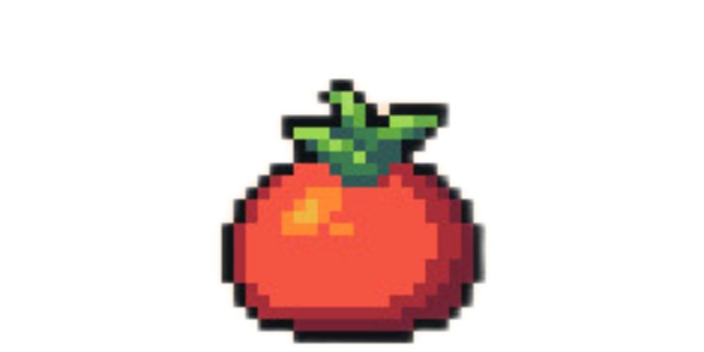 tomato 