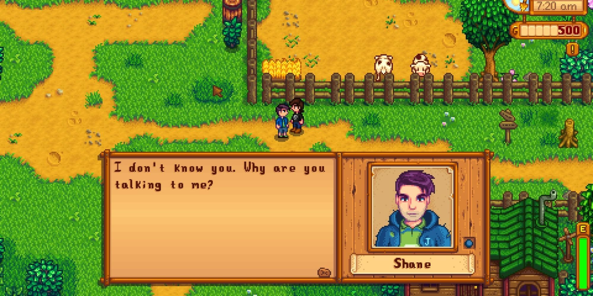 Ultimate Guide to Marrying Shane in Stardew Valley