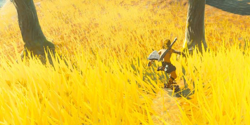 shield surf totk botw in game