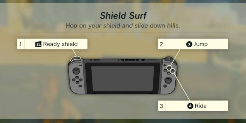 shield surf totk botw