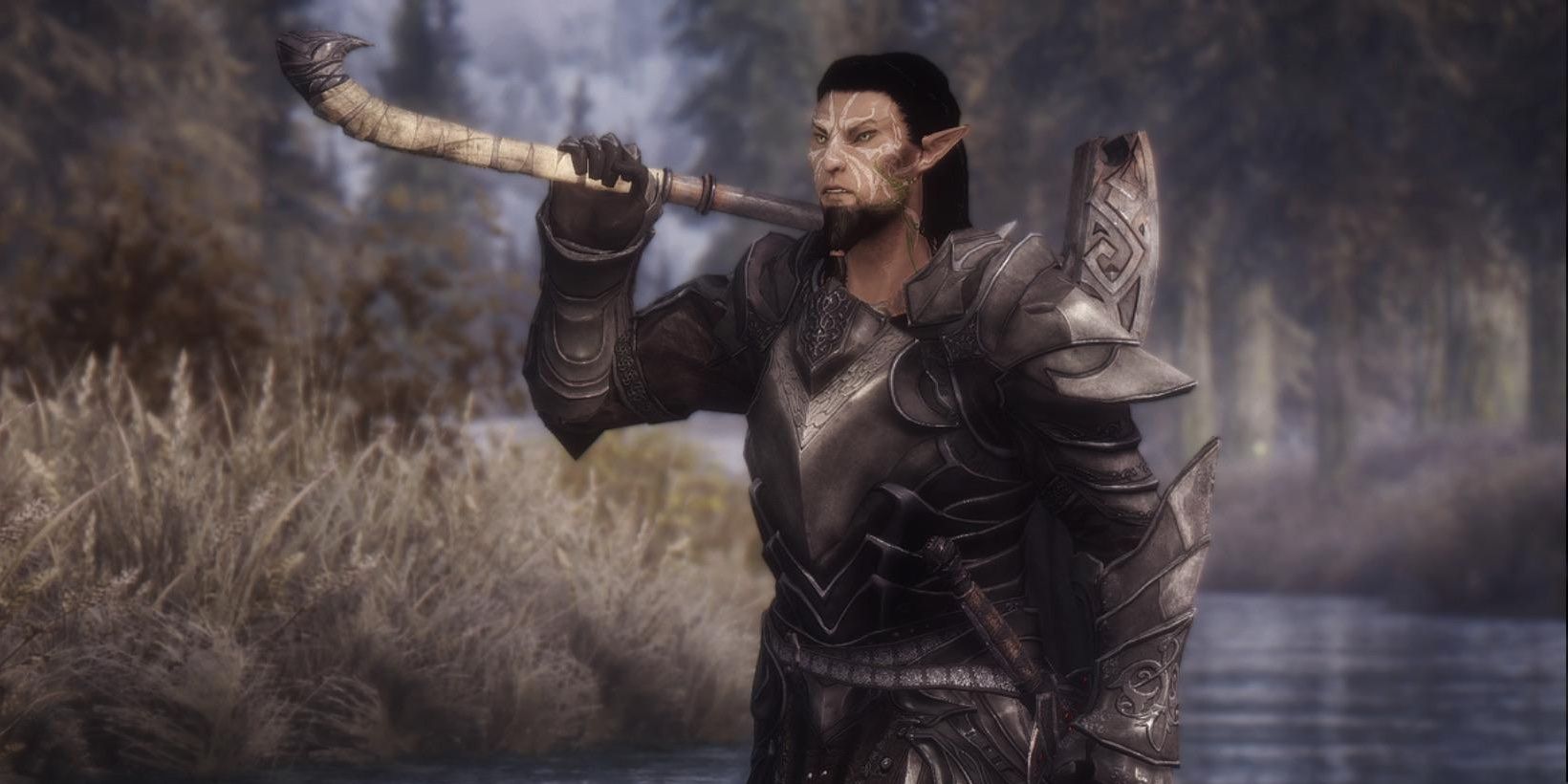 Skyrim Amidianborn Book Of Silence Mod 