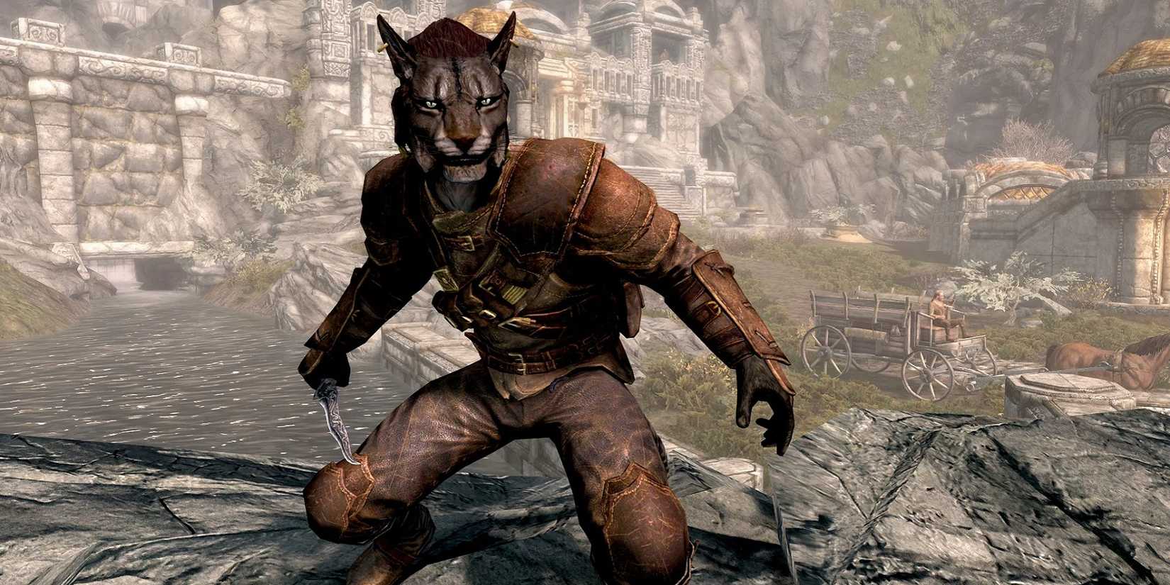 A sneaky Khajiit near Skyrim's Markarth city.