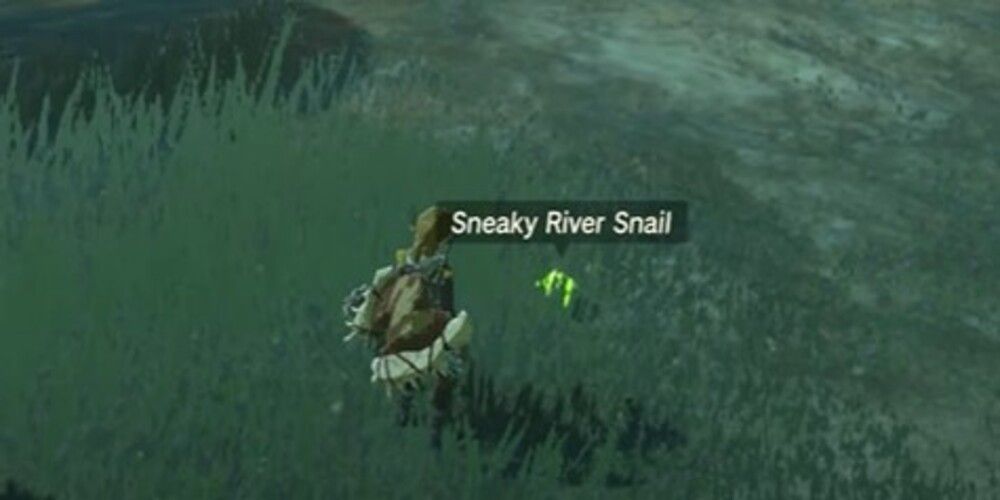 sneaky river snail legend of zelda tears of the kingdom