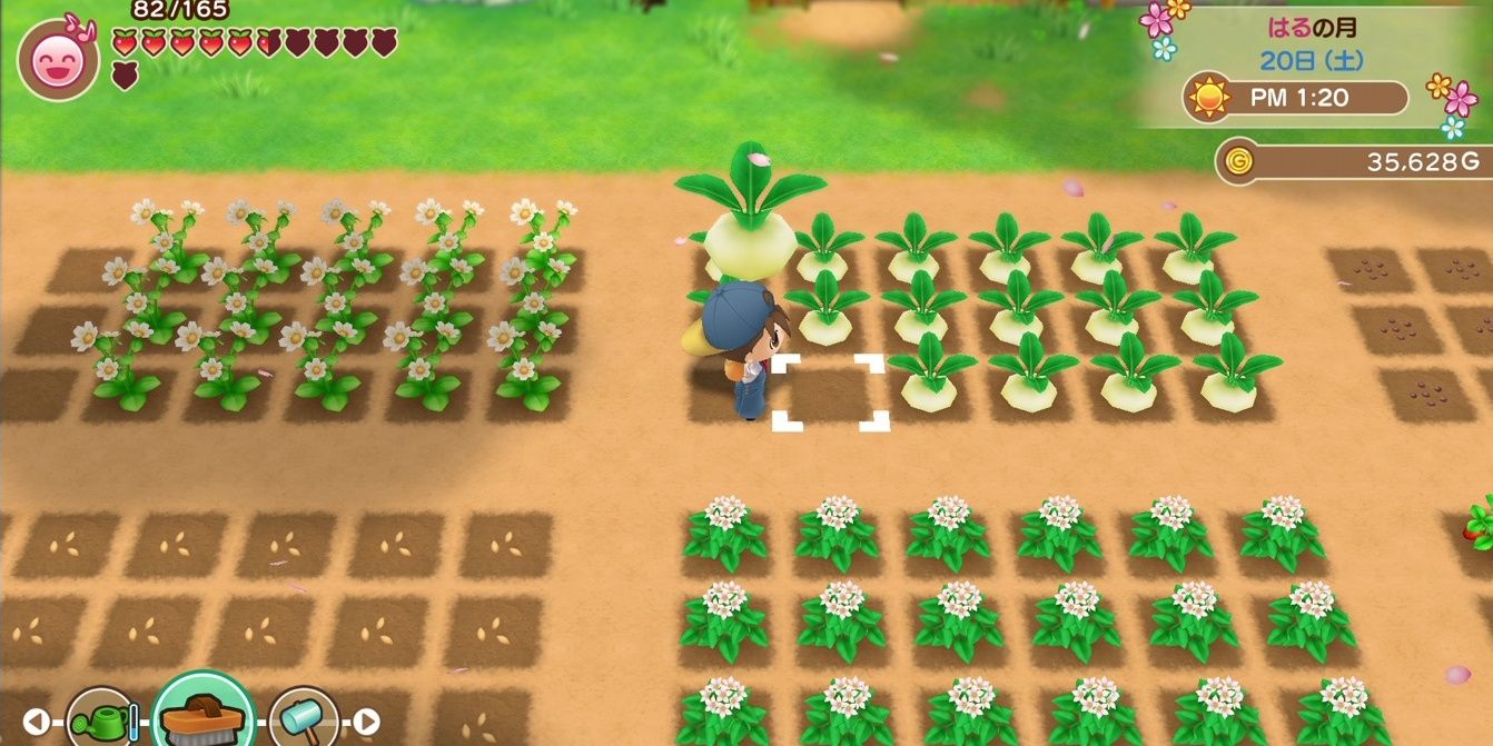 Farming in Story of Seasons Friends of Mineral Town