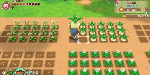 Farming in Story of Seasons Friends of Mineral Town