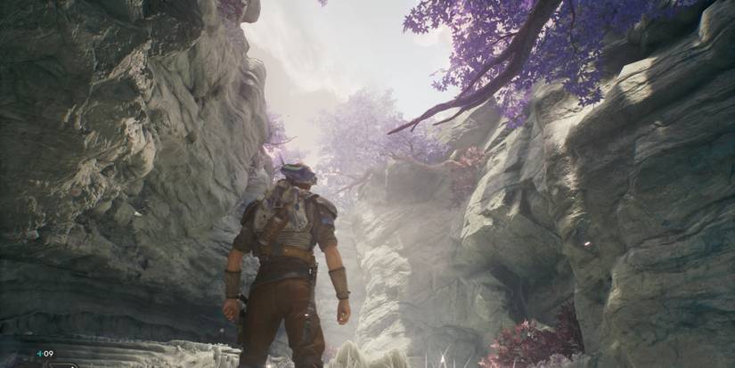 cal kestis on tanalorr