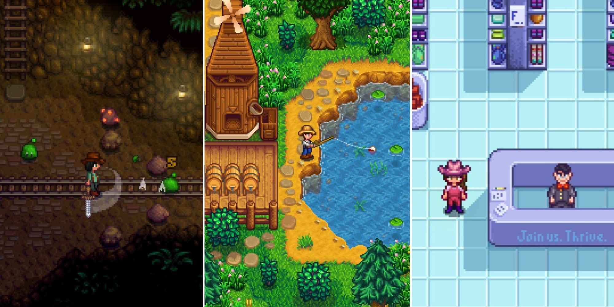 Various Locations From Stardew Valley