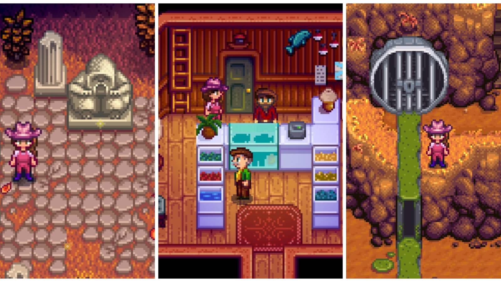 Various Stardew Valley Locations