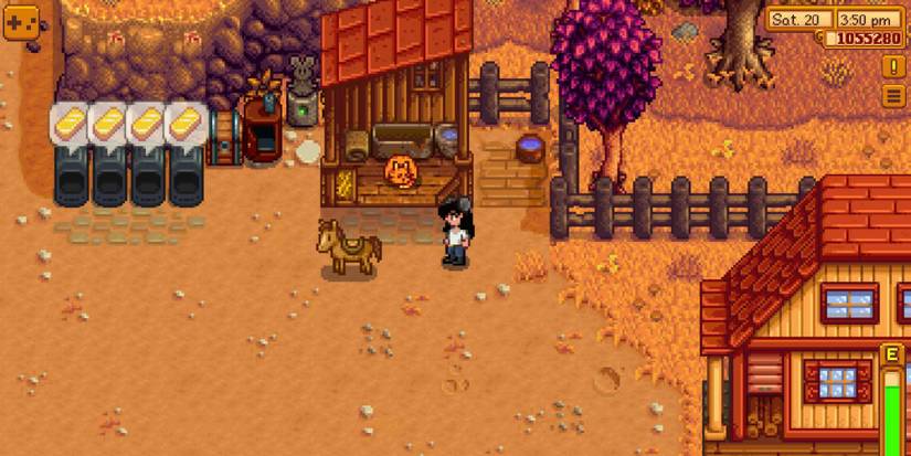 stardew valley stable (1)