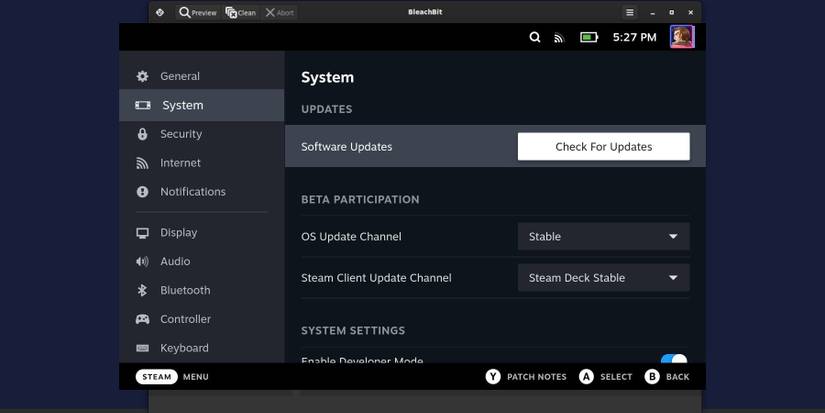 Steam Deck check updates